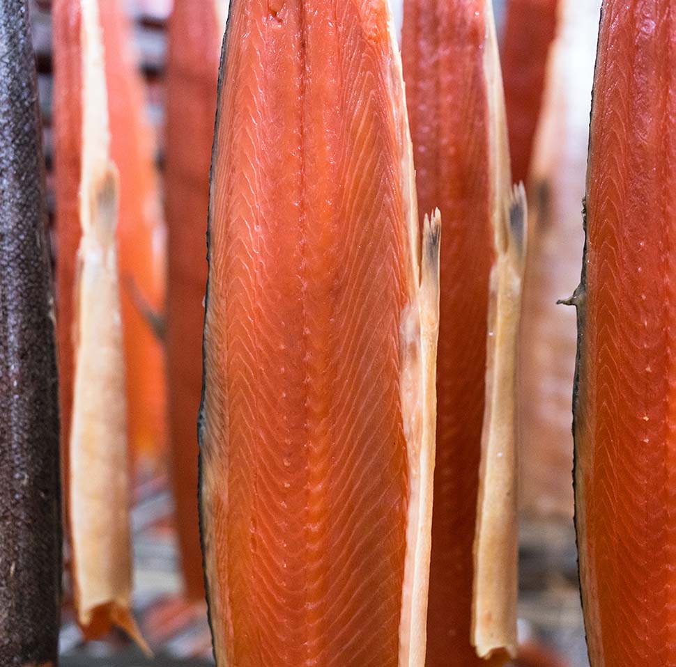 Salmone coda nera 3 PS