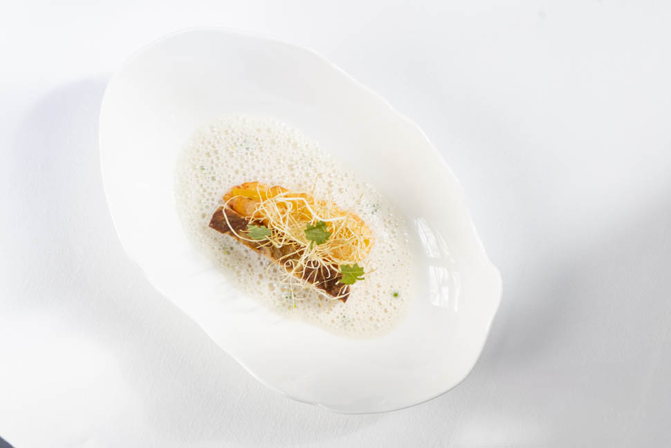 Scampi salsa champagne e foie gras1