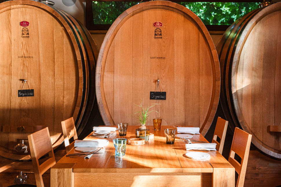 Seguire le Botti La Bottaia 4