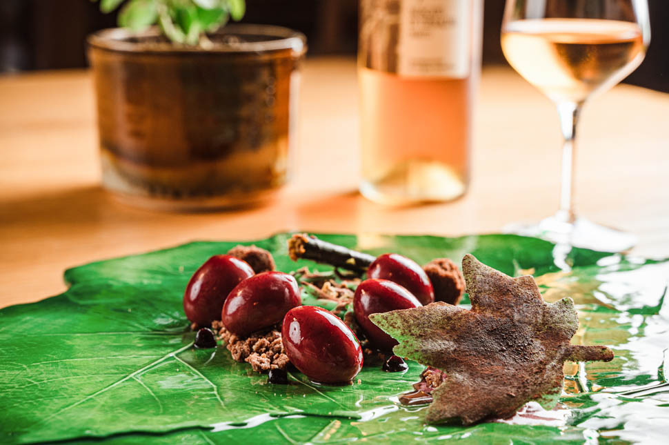 Seguire le Botti Vendemmiadal chicco al vino 7