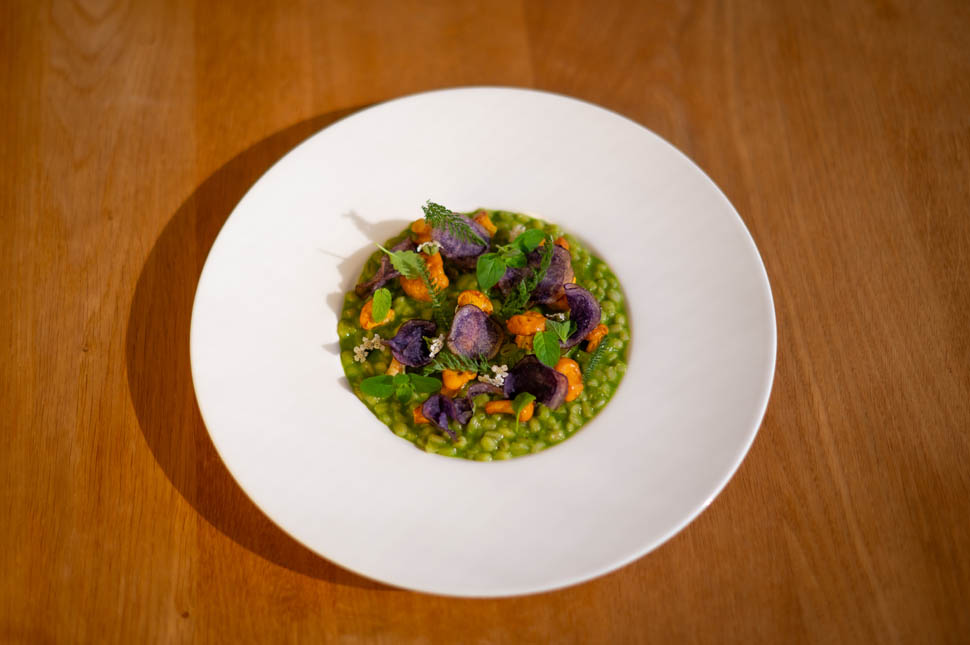 Seite 77 jld sommer 8035