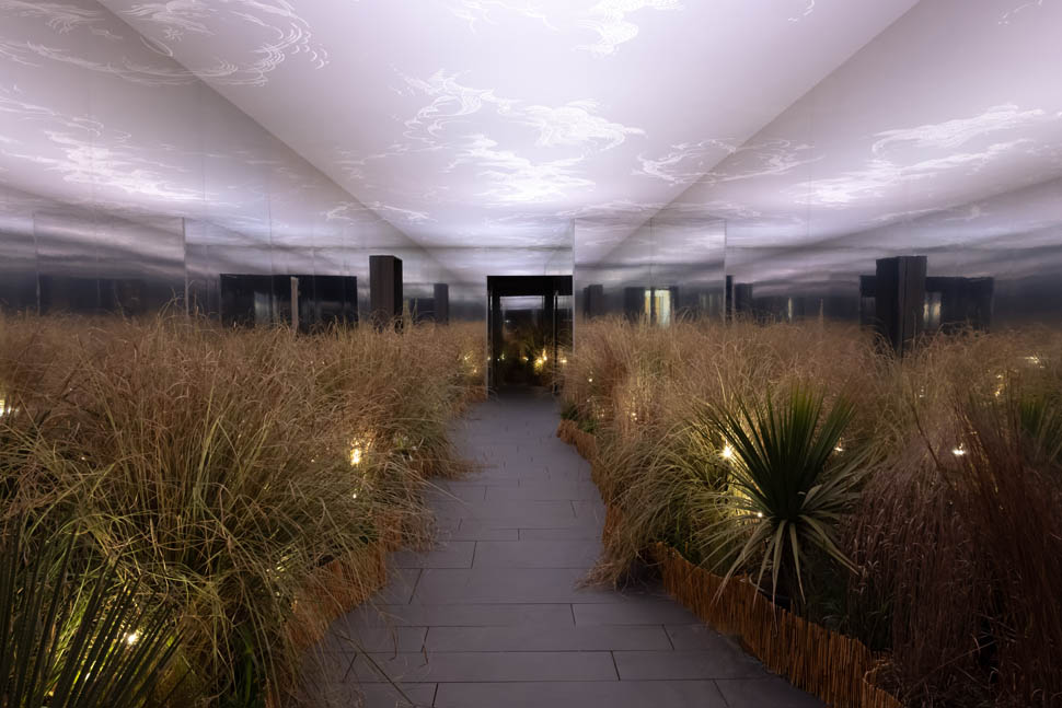 Sensory Landscape 5