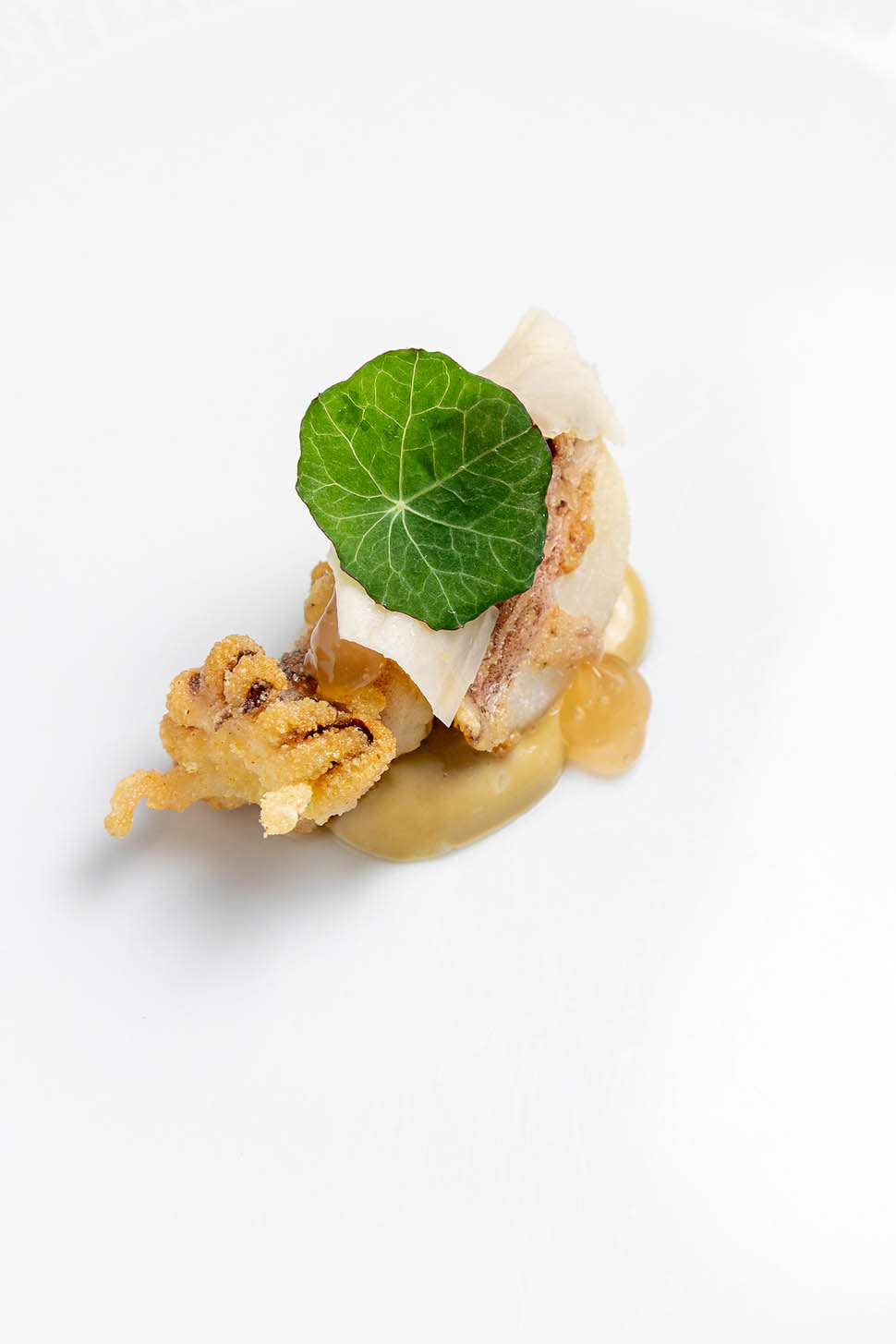 Seppiolina fritta maionese dei suoi fegati saor e zenzero vertNostrano Pesaro