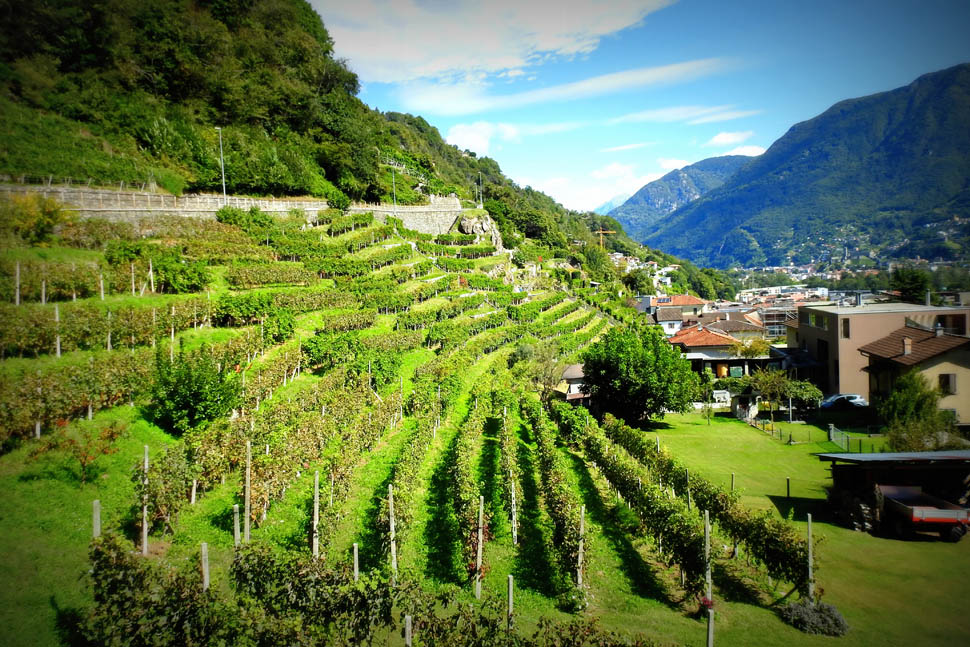 Settemaggio MonteCarasso