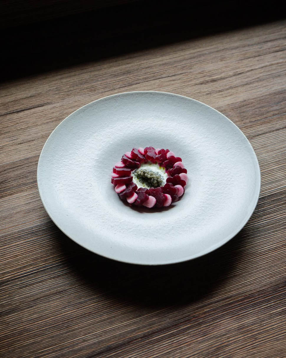 Signature con barbabietola e orso