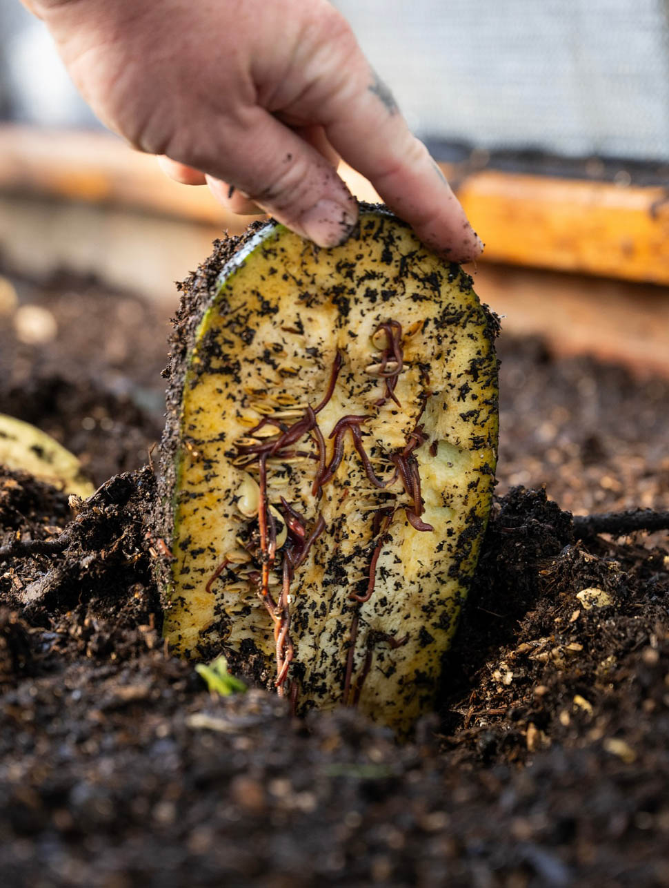 Single Thread Farm Restaurant 3 1