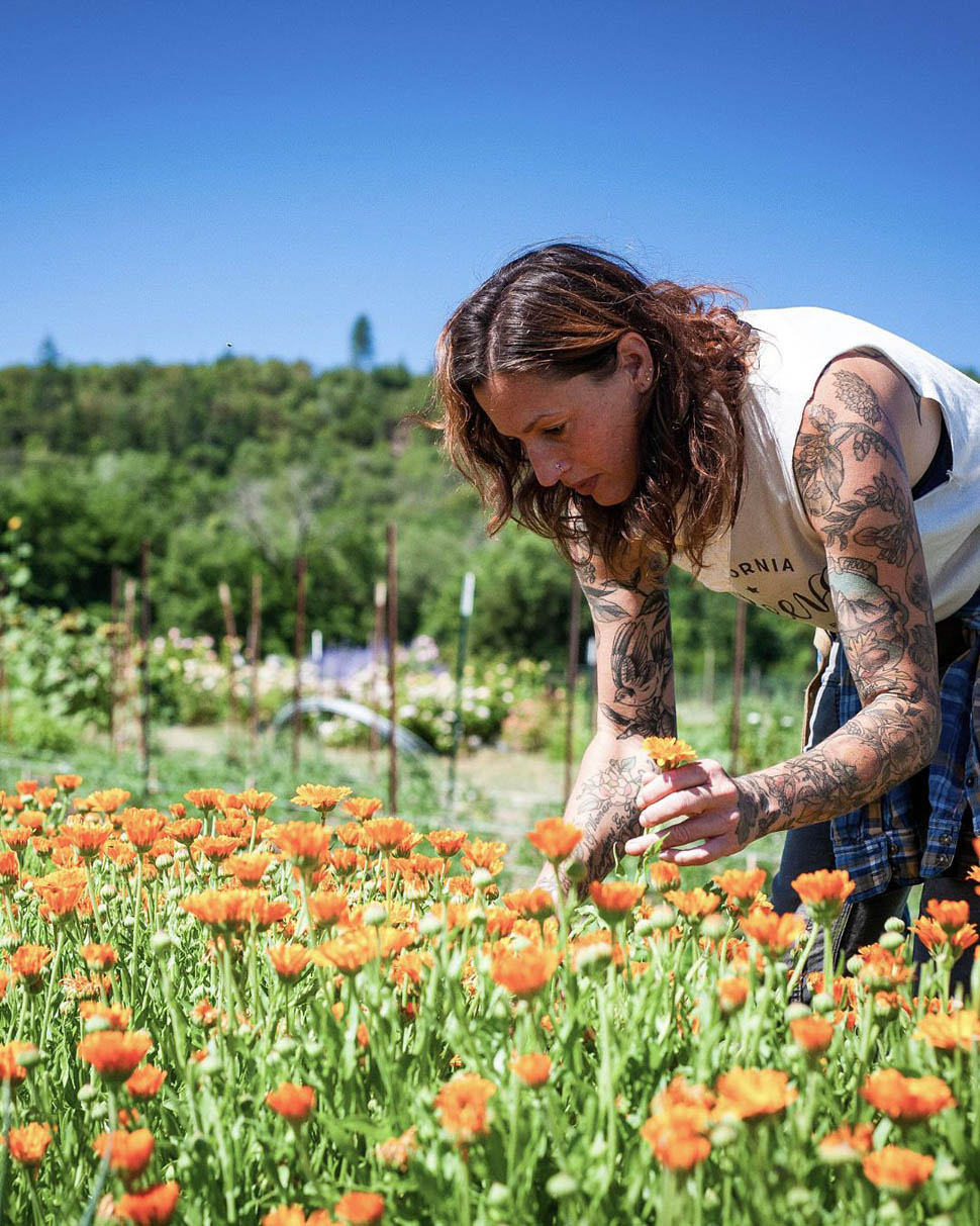 Single Thread Farm Restaurant 3 3