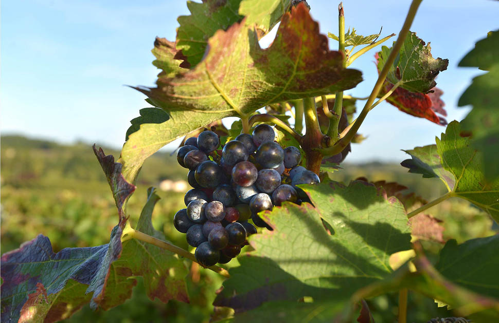 Slide2 2026 03 02 16 21 50