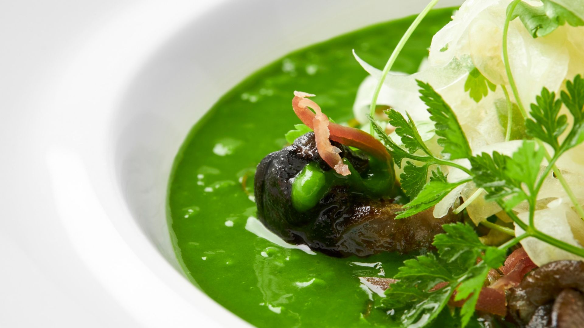 Slideshow porridge lumache