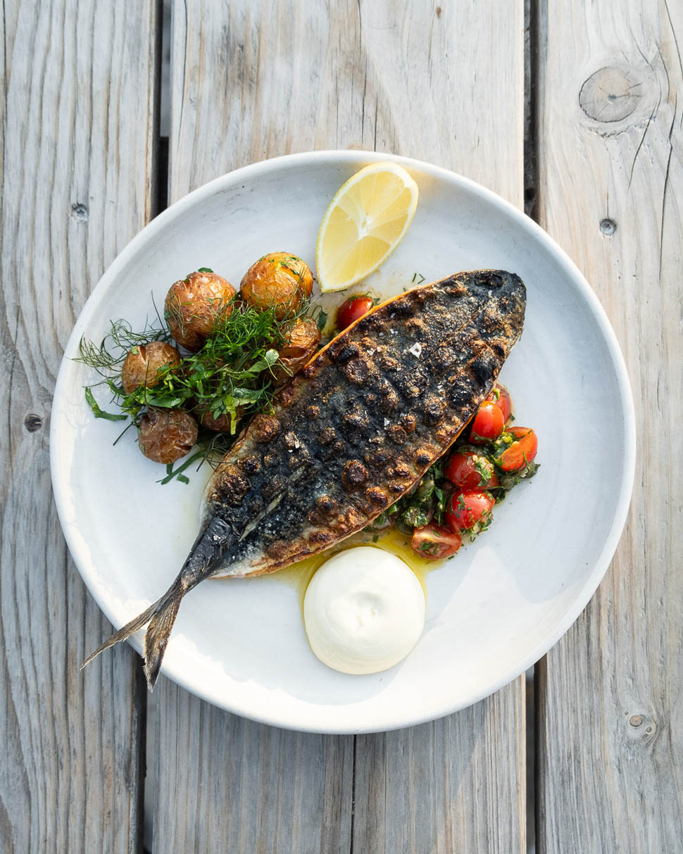 Soren Reed Dunes 2025 07 23 00 32 38