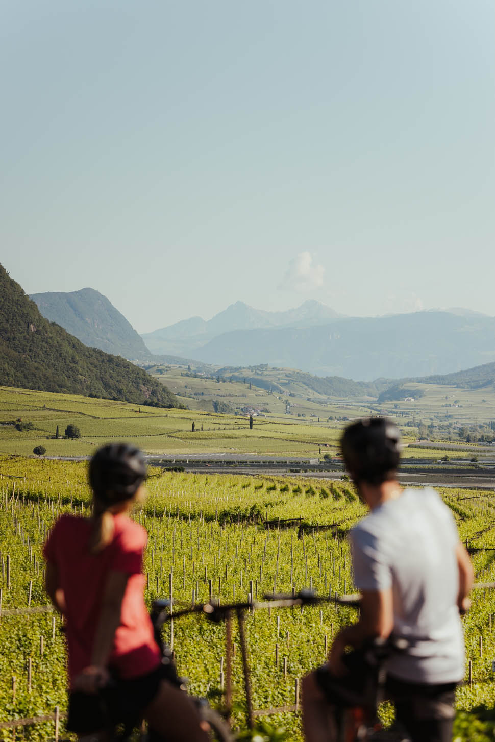 Sudtirol Wein AlexMoling