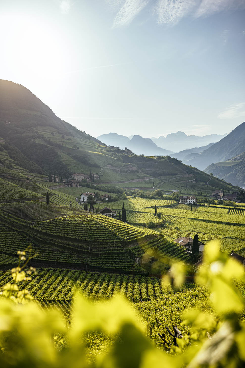 Sudtirol Wine benjaminpfitscher 2