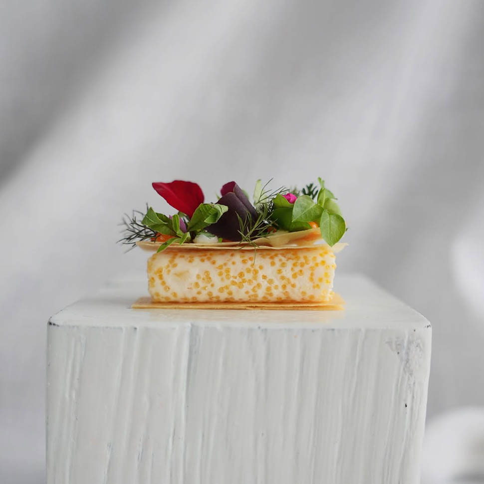 TERRA THE MAGIC PLACE TOAST 10 ERBE