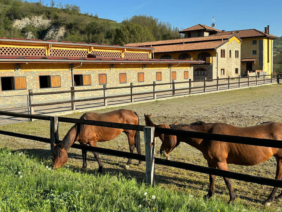 Tenuta Ca Bella Allevamento