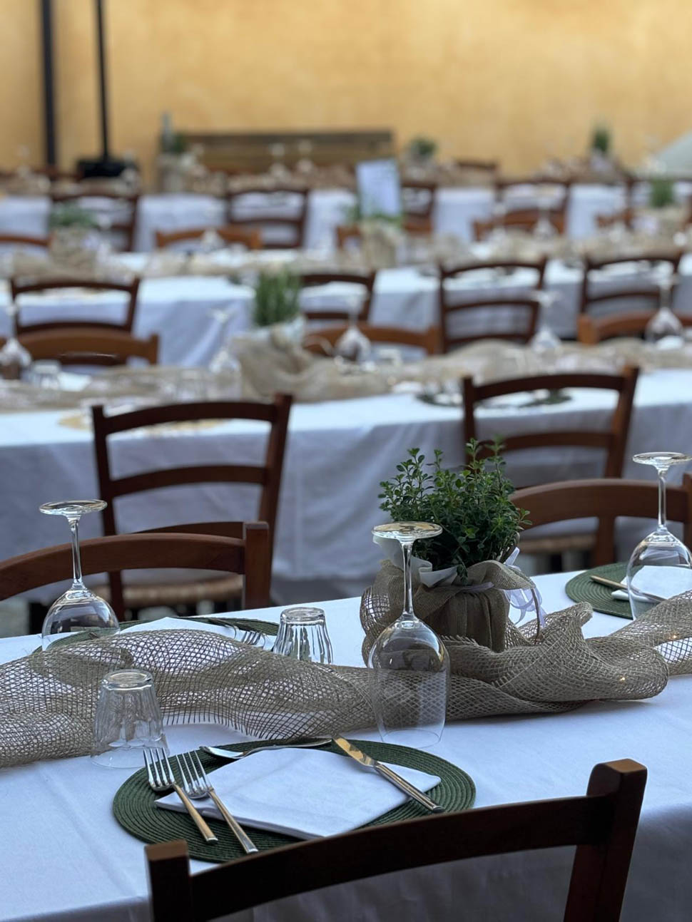 Tenuta Ca Bella Estate