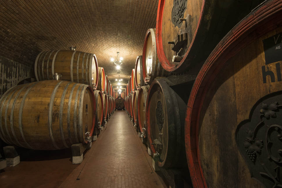 Tommasi Cantina Storica