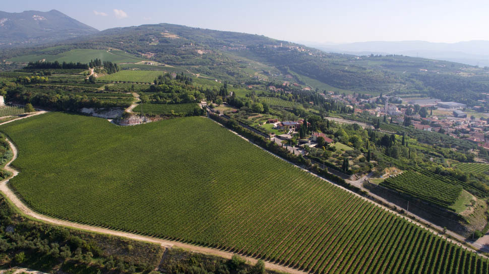 Tommasi vigneto La Groletta