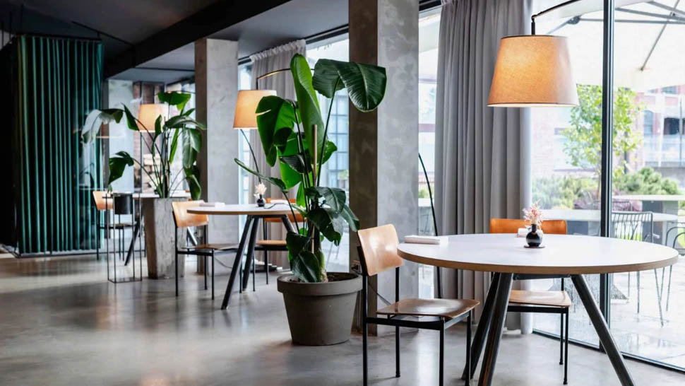 Trattoria Contemporanea 2026 10 07 16 35 22
