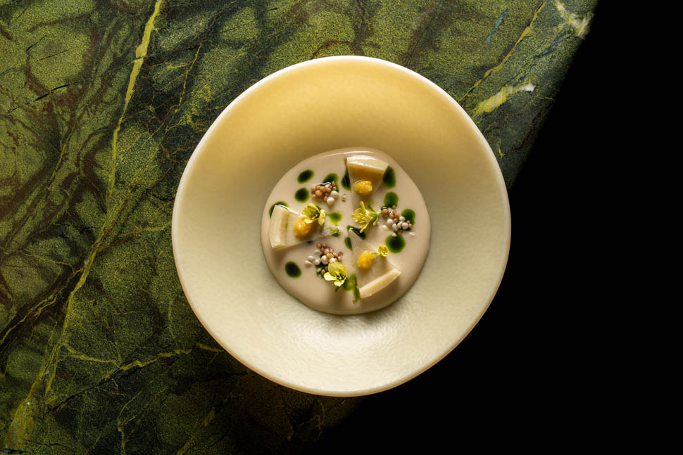 Tuju Alcachofra 2026 04 19 22 59 21