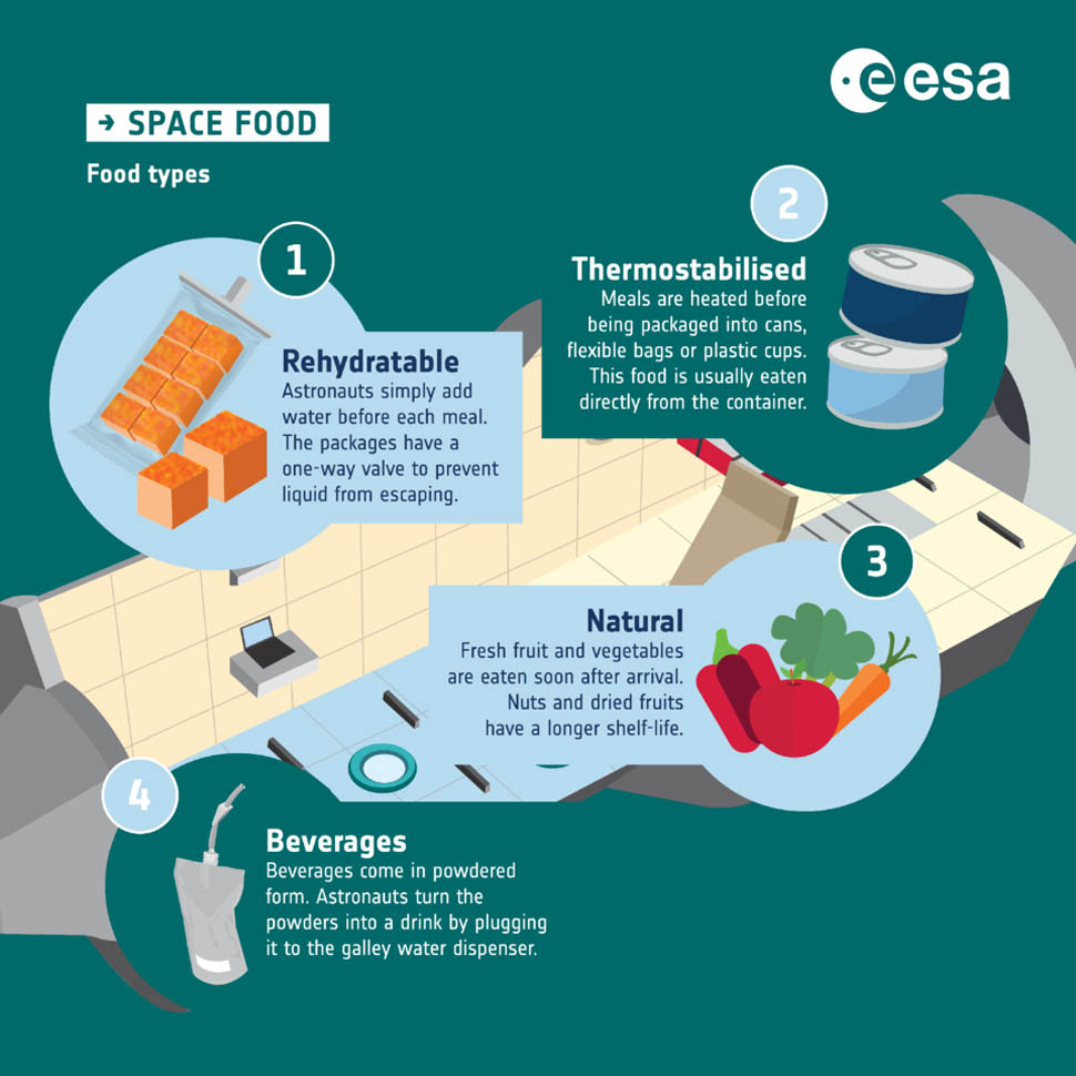 Types of food in space infographic article