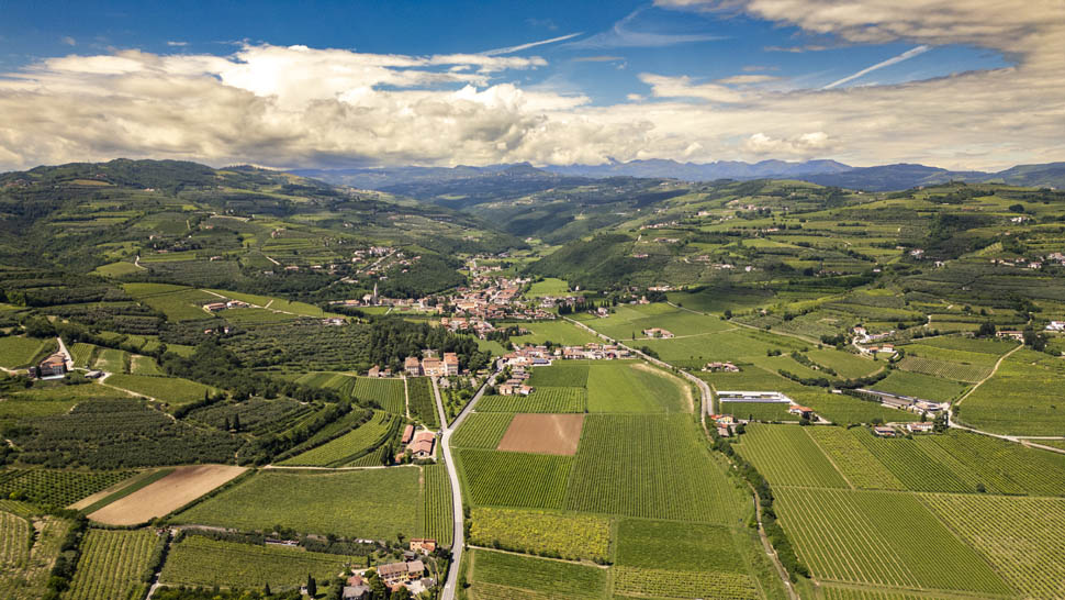 VIGNAIOLI DI MEZZANE 20