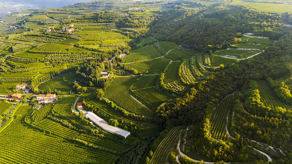 VIGNAIOLI DI MEZZANE 9