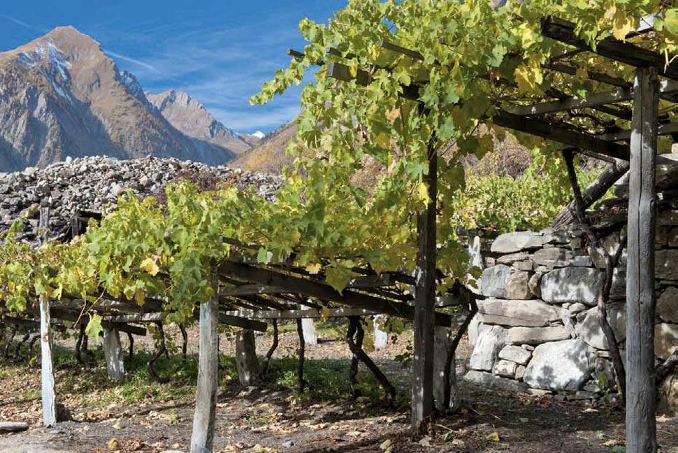 Valle d Aosta 2026 10 22 23 12 50