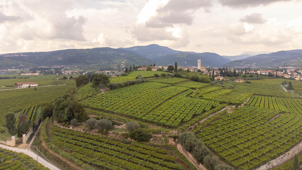 Vigneti San Pietro in Cariano