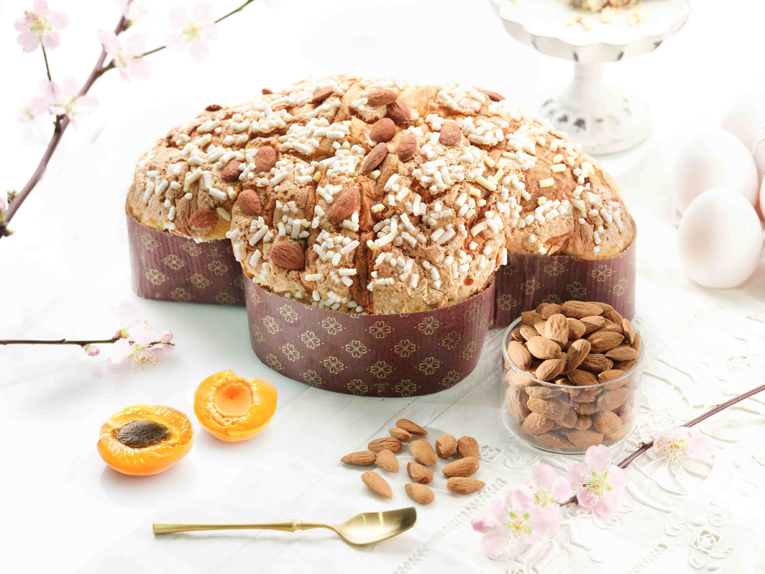 Vincenzo Faiella Pasqua 55