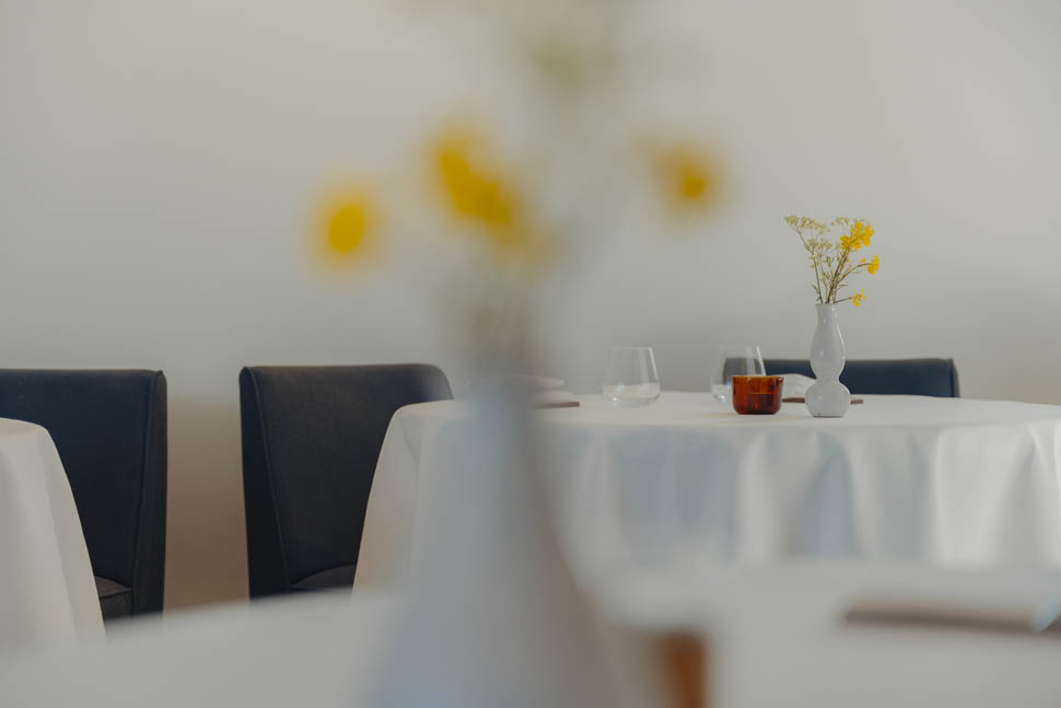 WILLEM HIELE x DAMON DE BACKER 2023 54