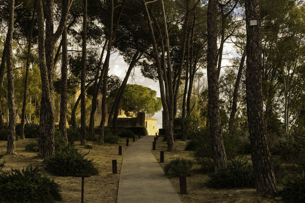 Wine Relais Feudi del Pisciotto 241126 Credit 241126 Maffione 0558