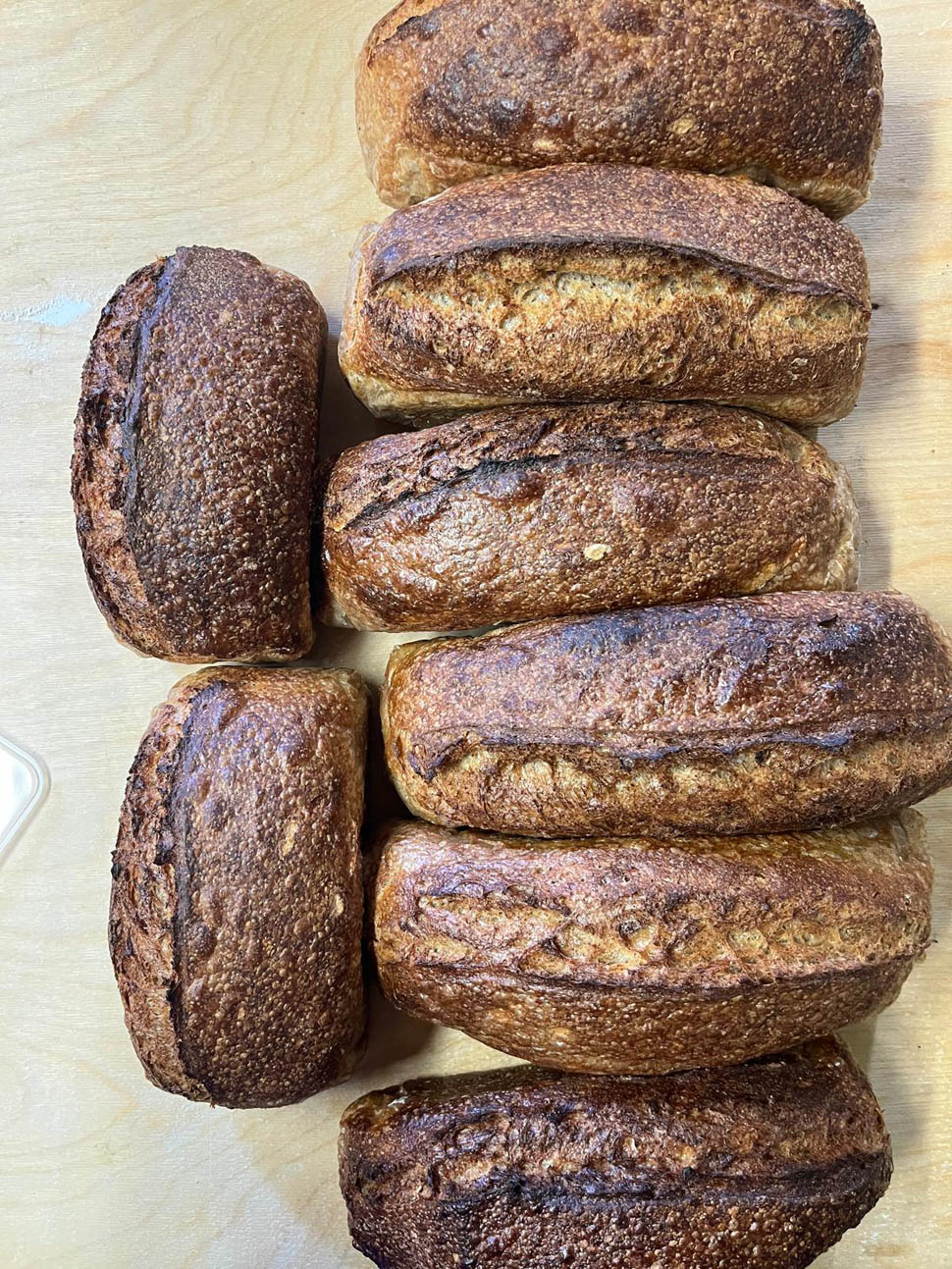 agriturismo vino del poggio 29