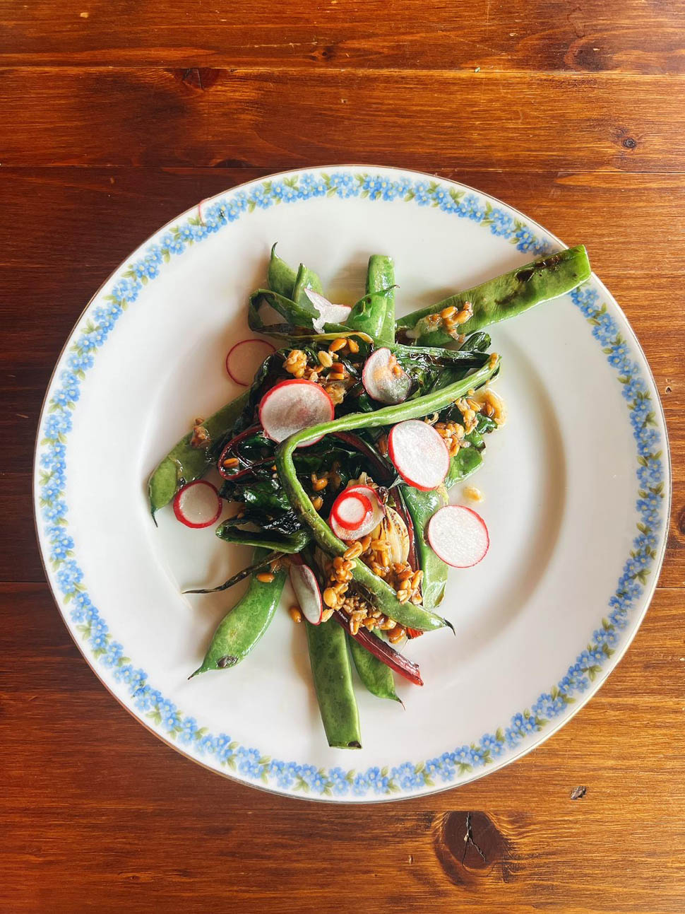 agriturismo vino del poggio 5