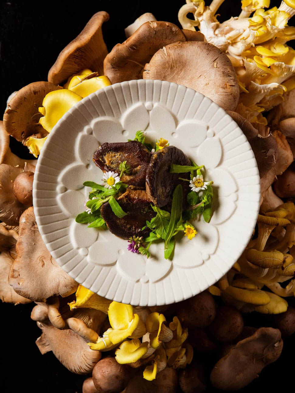 alessandro pietropaoli tiramisu di funghi