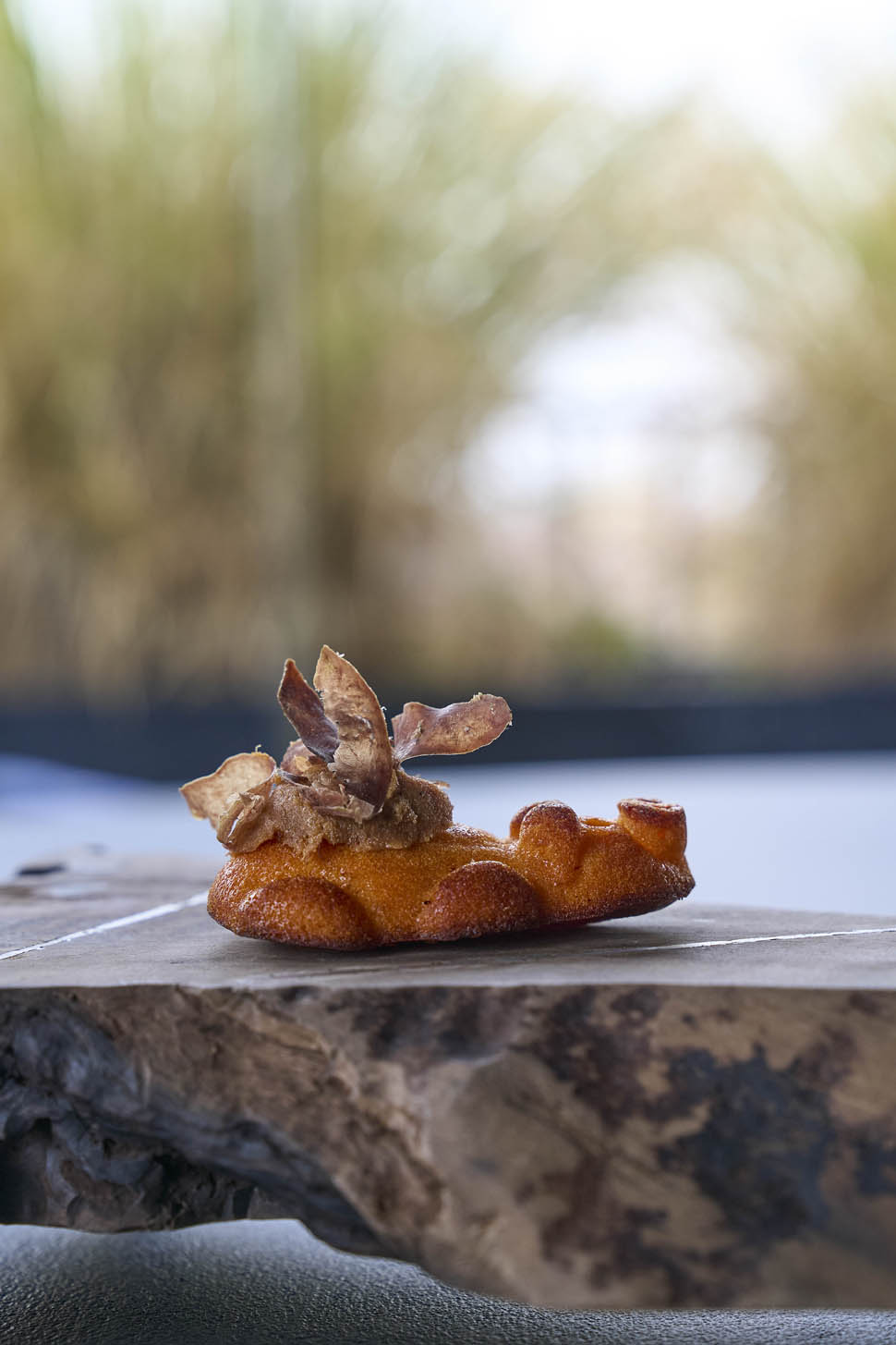 alto fiorano modenese emilia vegetale 20