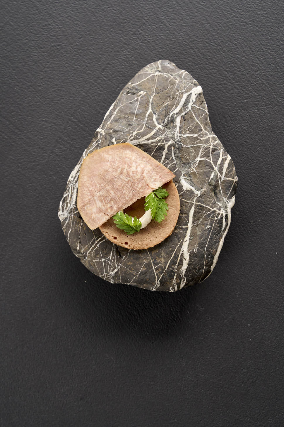 alto fiorano modenese emilia vegetale 24