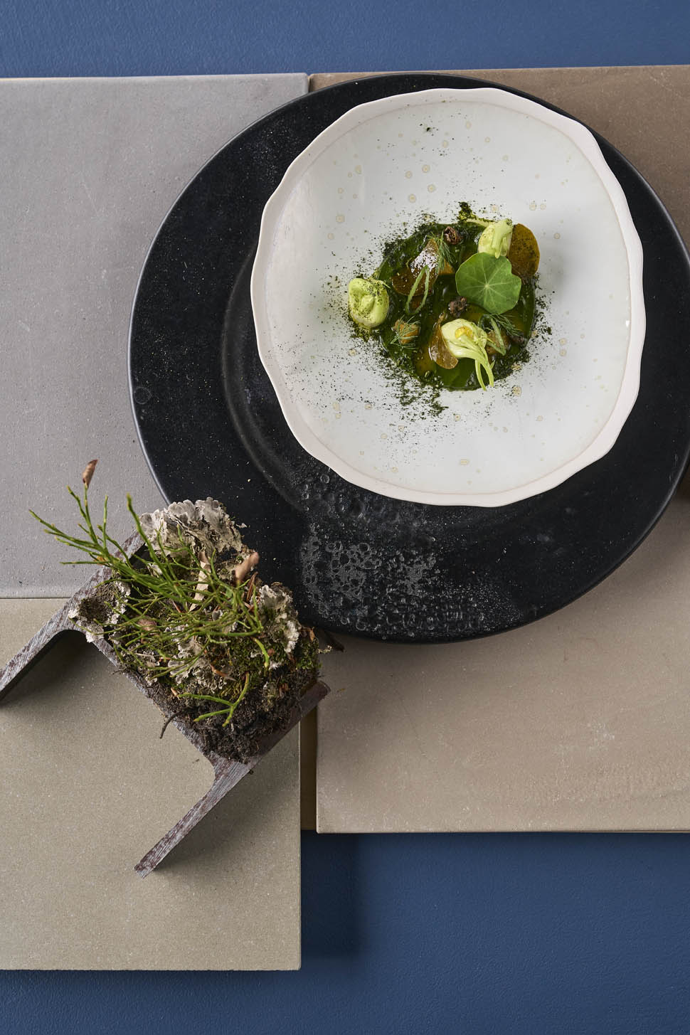 alto fiorano modenese emilia vegetale 7 2025 11 20 13 18 14