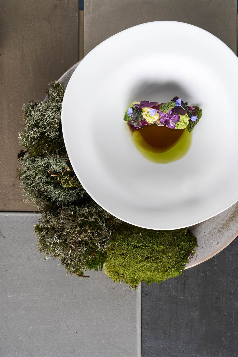 alto fiorano modenese emilia vegetale 8 2025 11 20 13 18 14