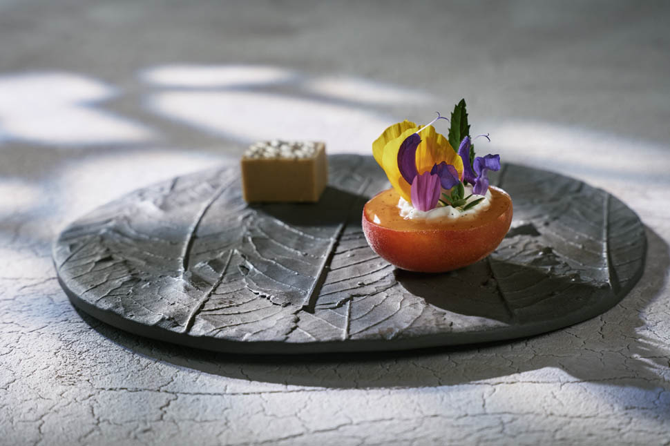 ana ros hisa franko 1