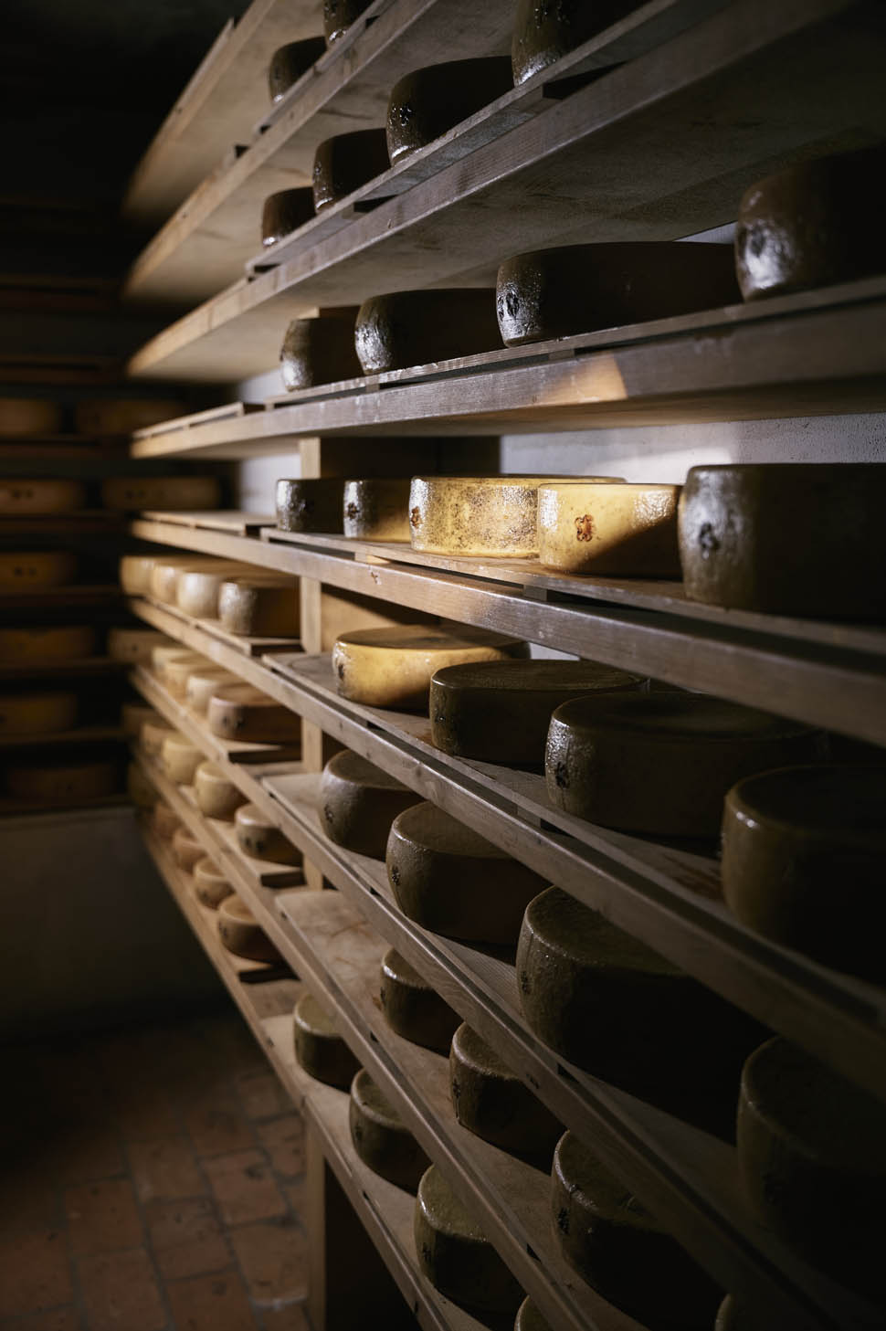 ana ros hisa franko 14