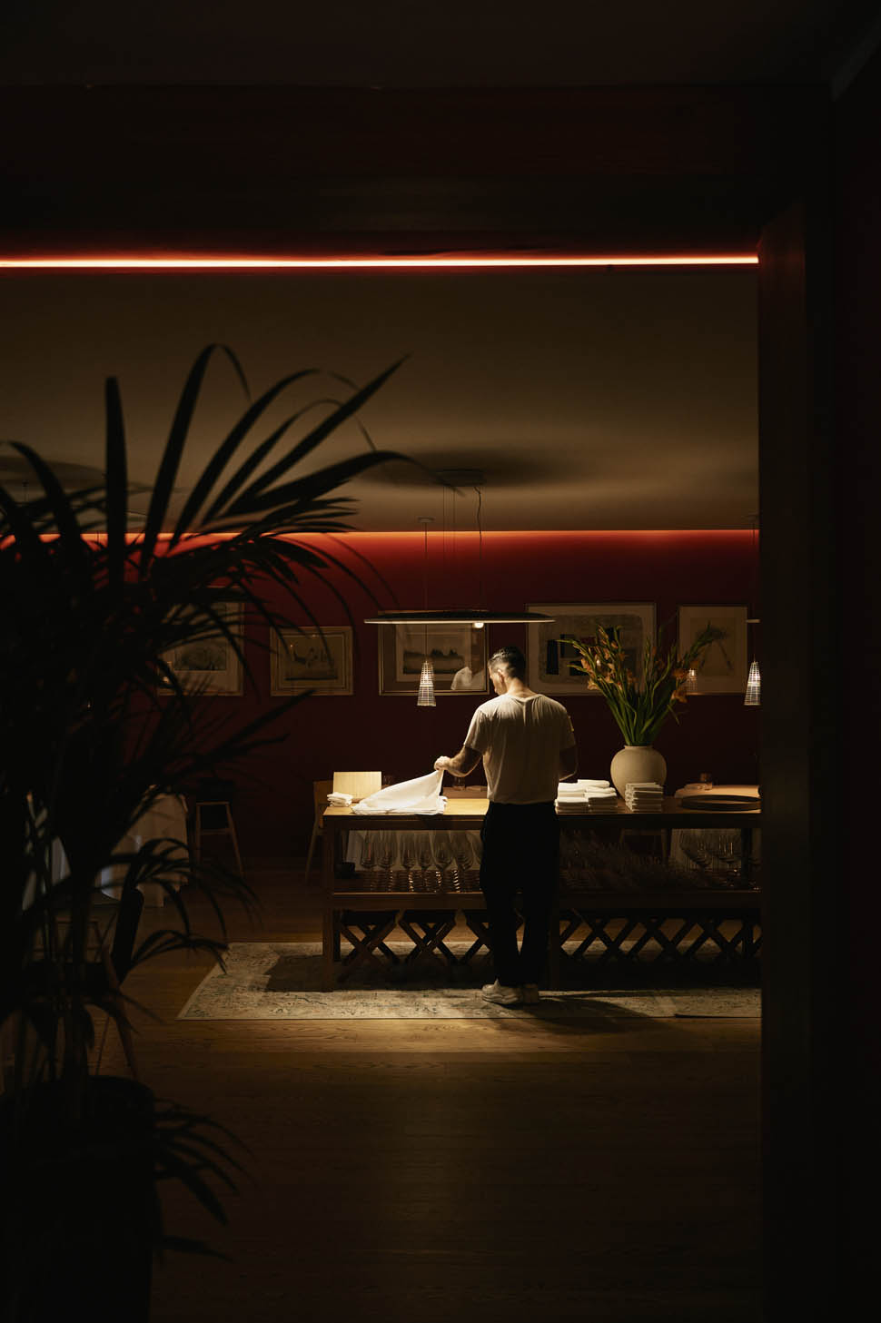 ana ros hisa franko 20