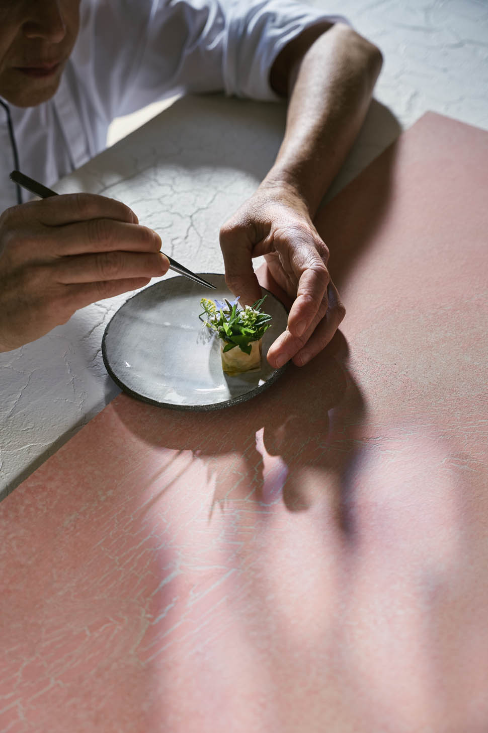 ana ros hisa franko 22