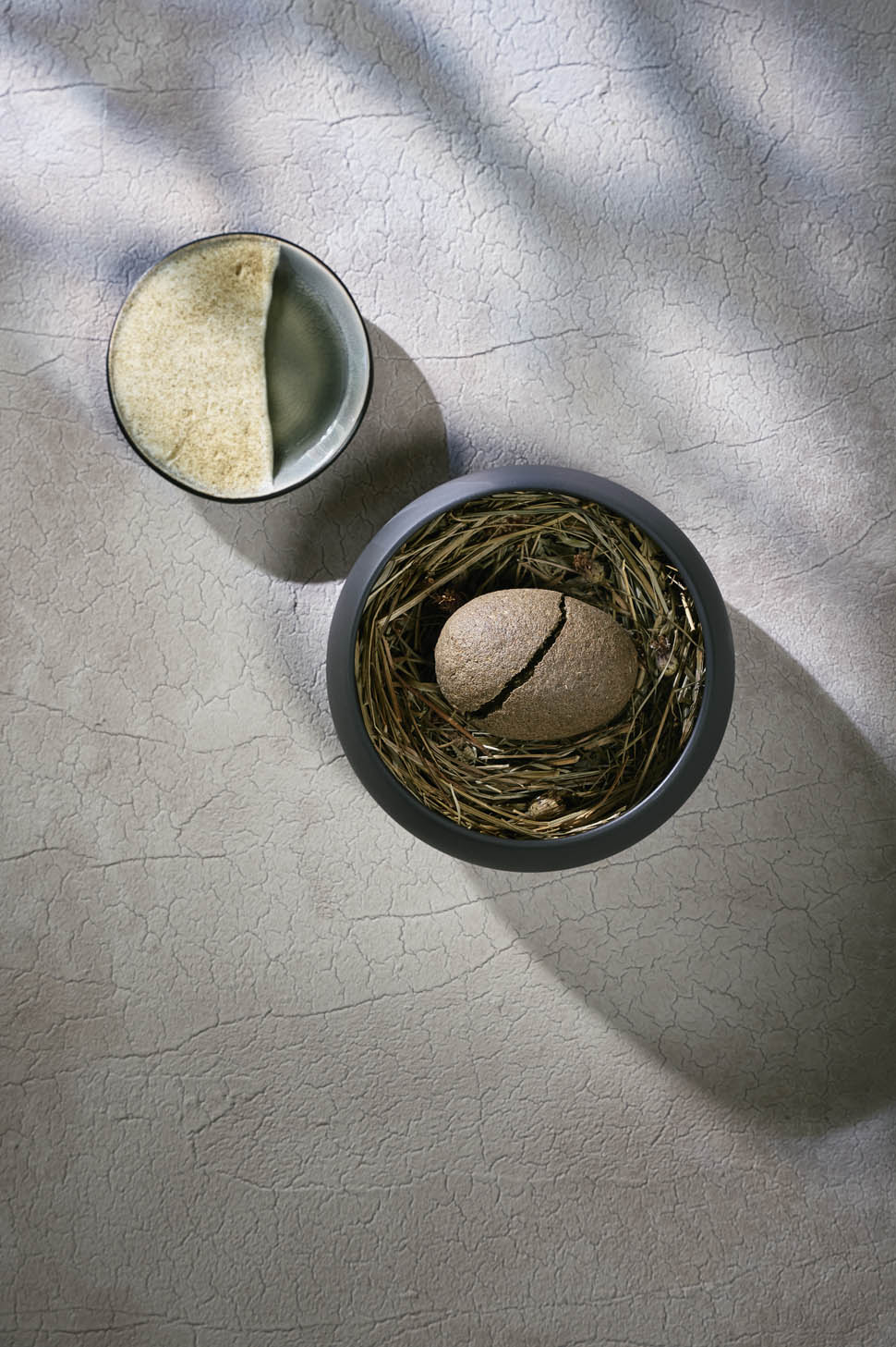 ana ros hisa franko 26