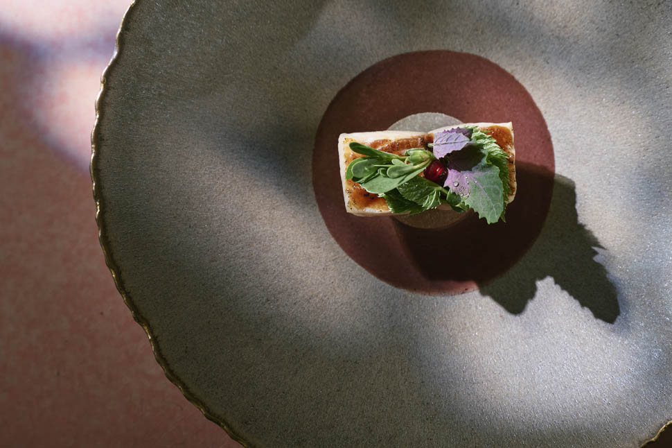 ana ros hisa franko 32