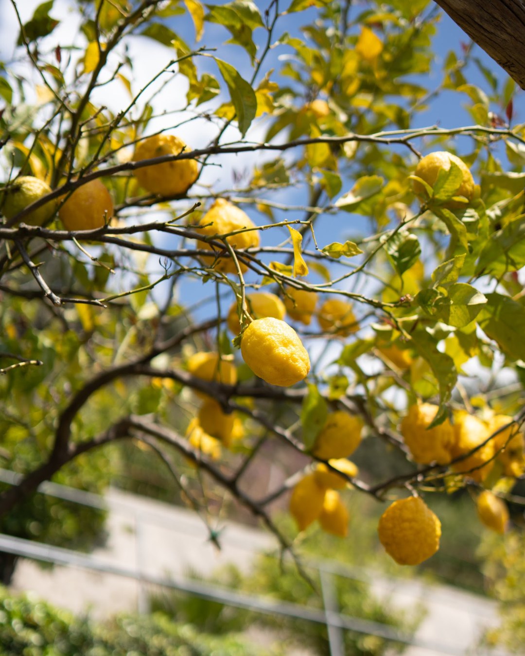 anantara amalfi 9 2025 08 18 00 51 24