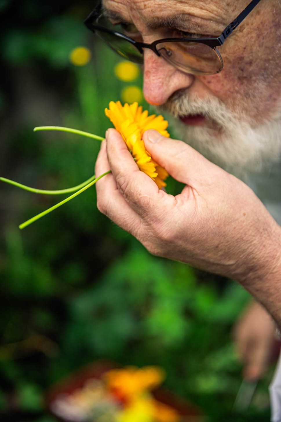 antonio chiodi latini 2