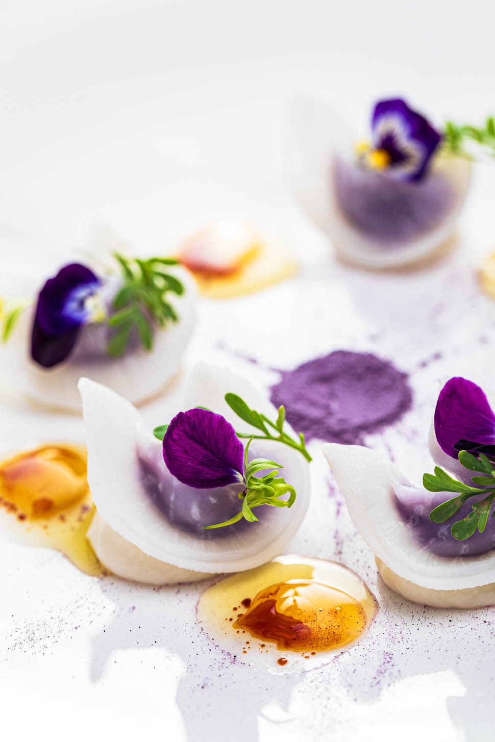 antonio chiodi latini Rossa Francese 1 1