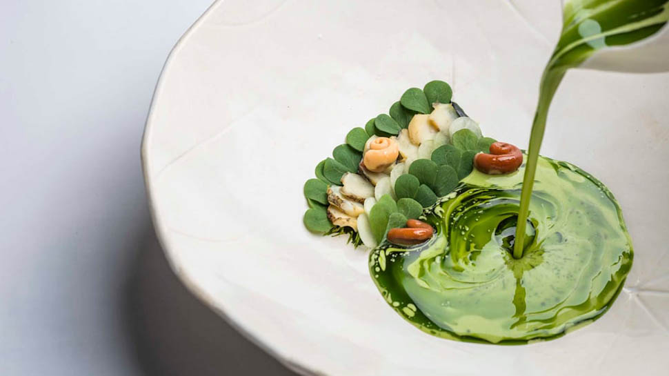 aponiente 2026 06 04 14 45 54