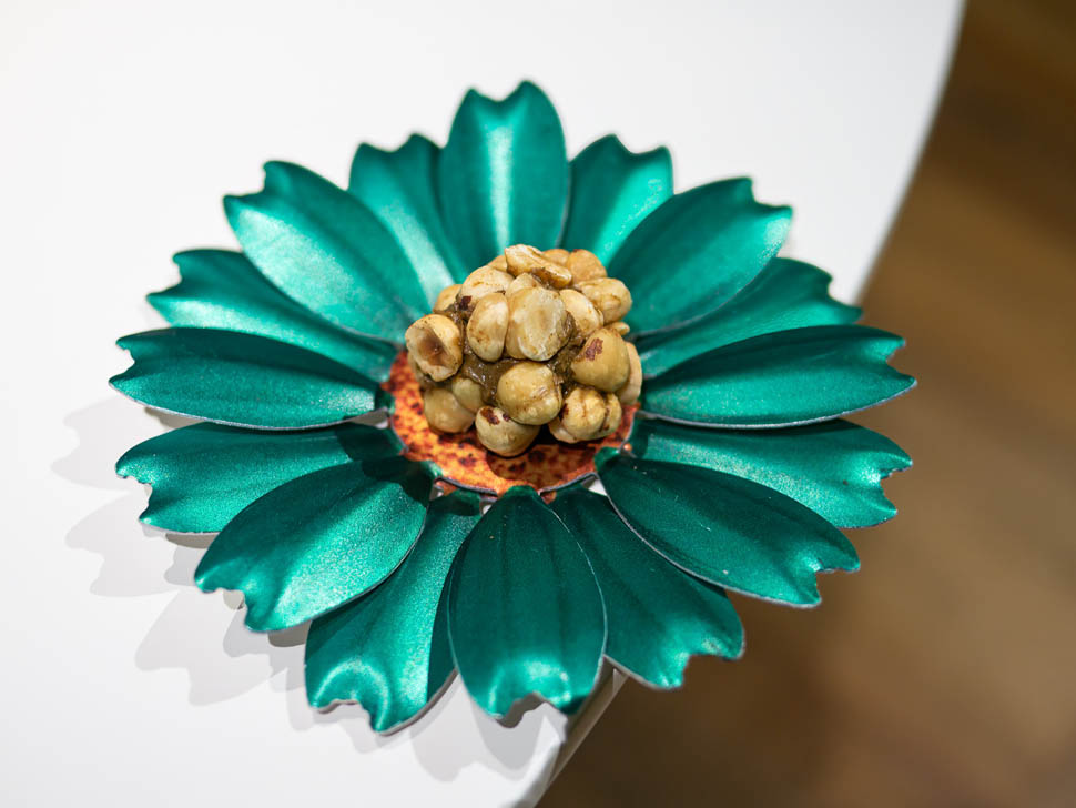 aquacrua 04 pate rocher