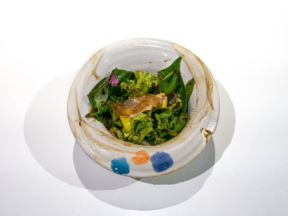 aquacrua 10 pellicola insalata